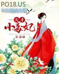 芸汐传奇:风华倾天下(天才小毒妃)