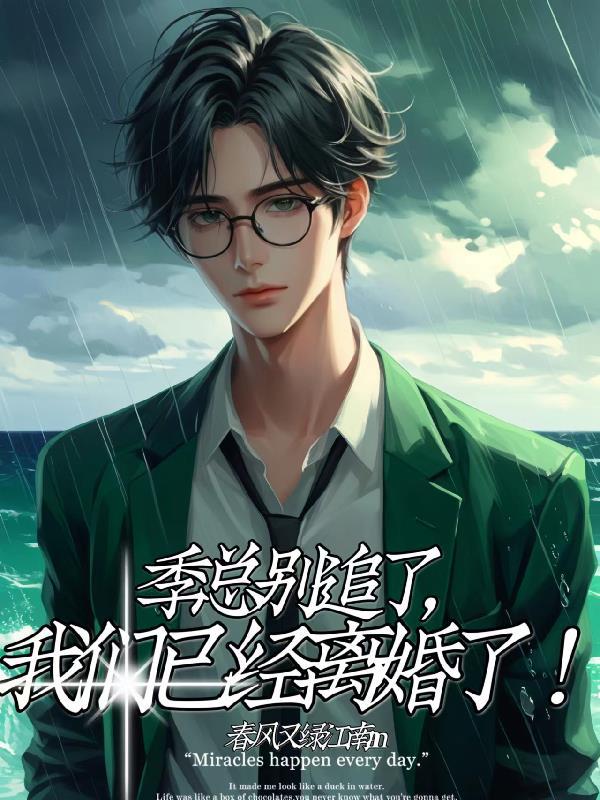 季总别追了,我们已经离婚了!