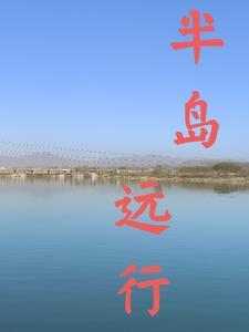 星际修真生活