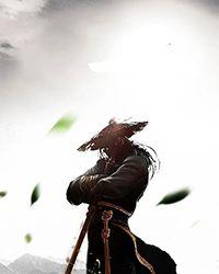 （综武侠同人）[综武侠]神偷计划