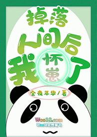 掉落人间后我怀崽了